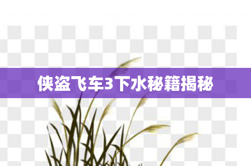 侠盗飞车3下水秘籍揭秘图片
