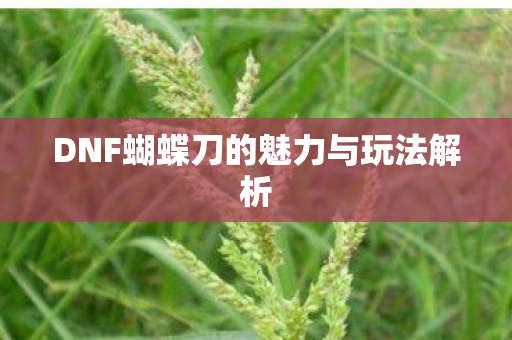 DNF蝴蝶刀的魅力与玩法解析图片