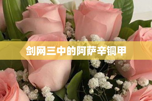 剑网三中的阿萨辛铜甲图片