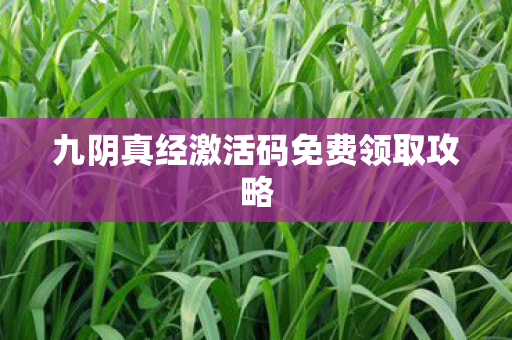 九阴真经激活码免费领取攻略图片