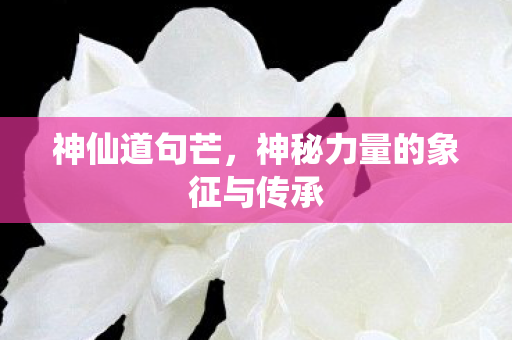 神秘力量的象征与传承图片