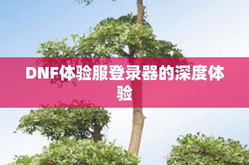 DNF体验服登录器的深度体验图片