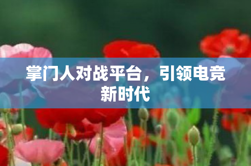 掌门人对战平台图片