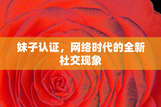 妹子认证,网络时代的全新社交现象 妹子认证,网络时代的全新社交现象