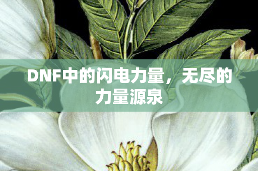 DNF中的闪电力量,无尽的力量源泉 DNF中的闪电力量,无尽的力量源泉