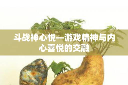 游戏精神与内心喜悦的交融图片