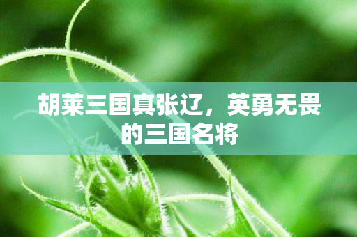 英勇无畏的三国名将图片