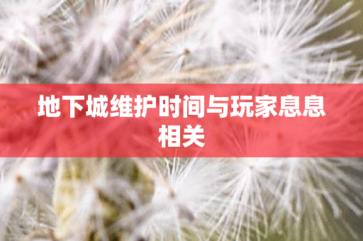 地下城维护时间与玩家息息相关图片