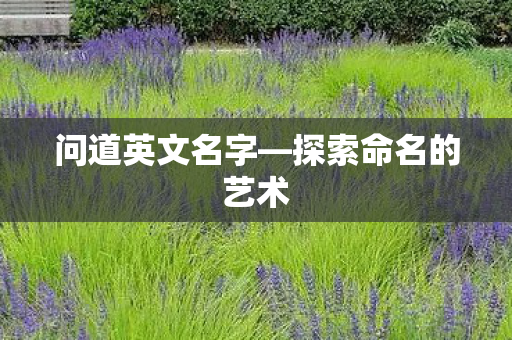 探索命名的艺术图片