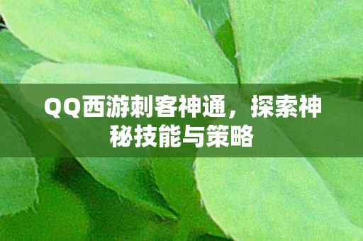 探索神秘技能与策略图片