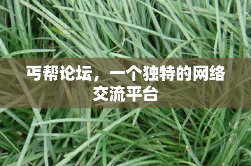 一个独特的网络交流平台图片
