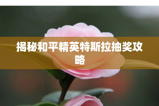 揭秘和平精英特斯拉抽奖攻略图片