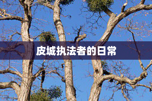皮城执法者的日常图片