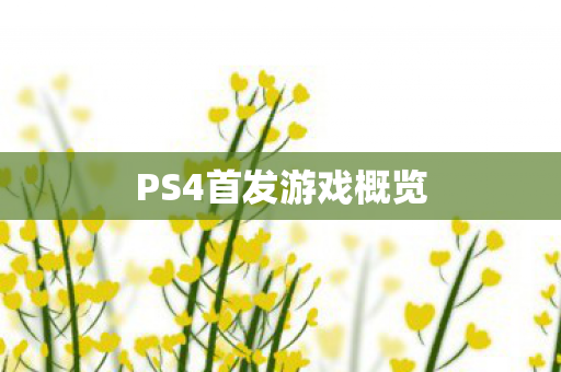 PS4首发游戏概览图片