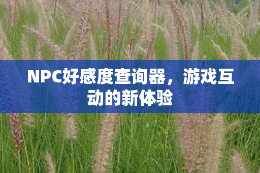 NPC好感度查询器图片