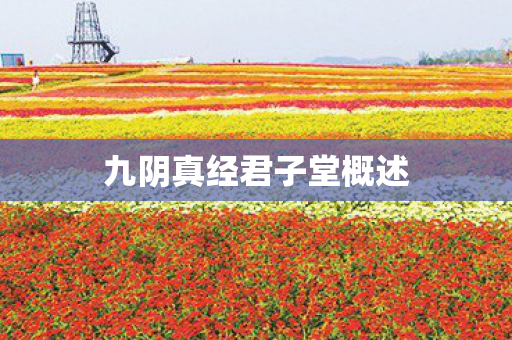 九阴真经君子堂概述图片