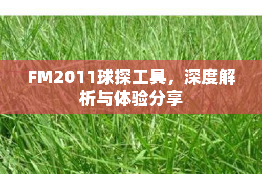 FM2011球探工具图片