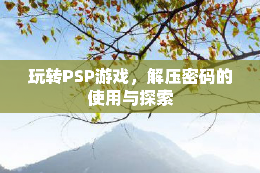 解压密码的使用与探索图片