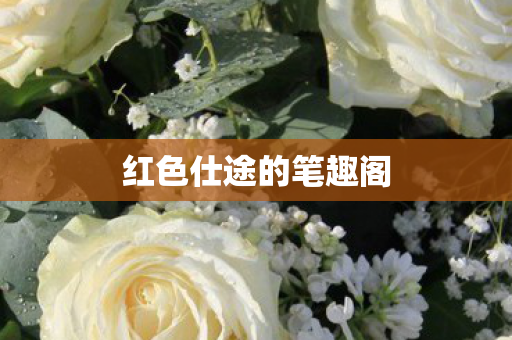 红色仕途的笔趣阁图片