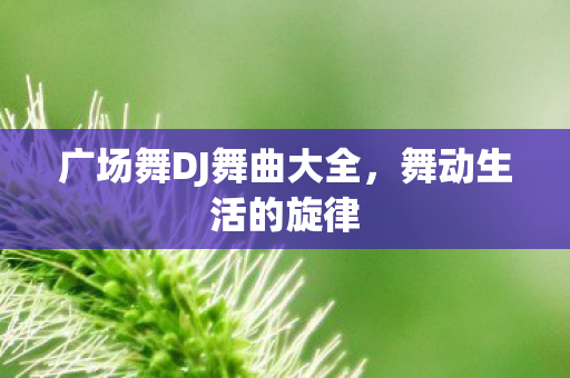 广场舞DJ舞曲大全图片