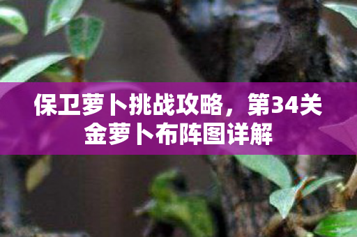 第34关金萝卜布阵图详解图片