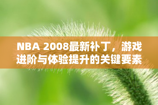 游戏进阶与体验提升的关键要素图片