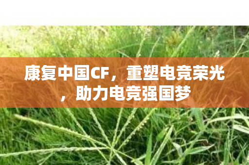 助力电竞强国梦图片