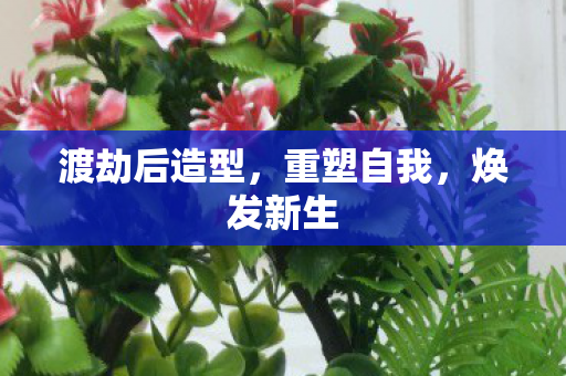 渡劫后造型图片