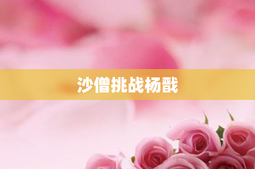 沙僧挑战杨戬图片