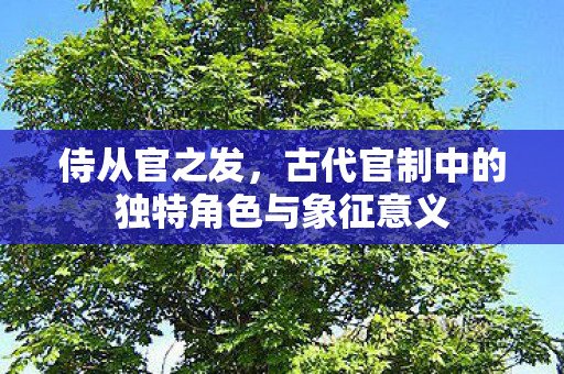 古代官制中的独特角色与象征意义图片