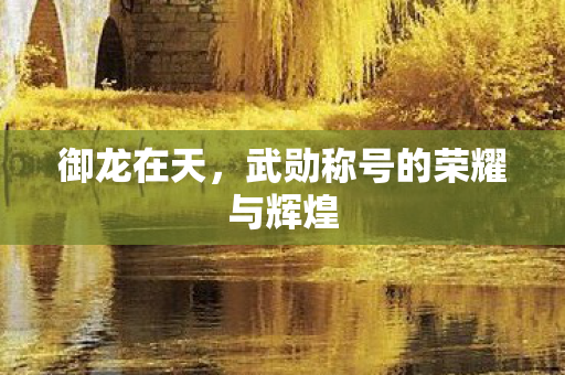 武勋称号的荣耀与辉煌图片