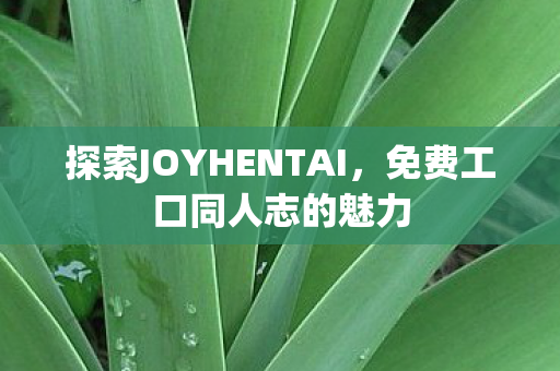 探索JOYHENTAI图片