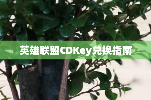 英雄联盟CDKey兑换指南图片