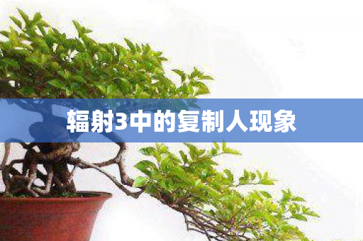 辐射3中的复制人现象图片