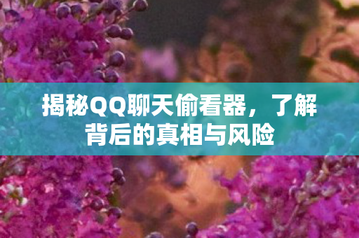 了解背后的真相与风险图片