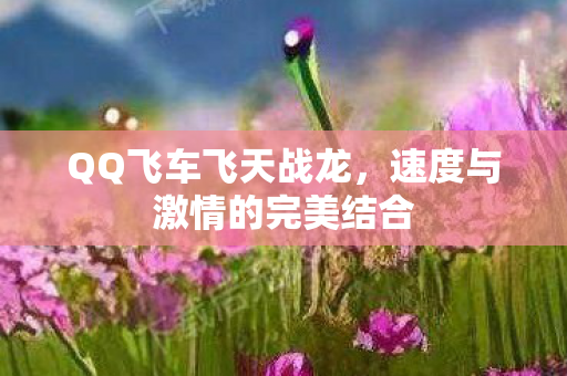 速度与激情的完美结合图片