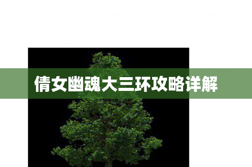 倩女幽魂大三环攻略详解图片