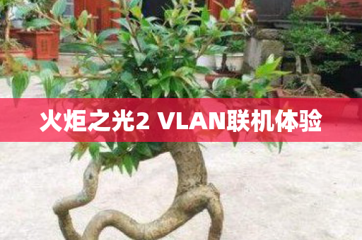 火炬之光2 VLAN联机体验