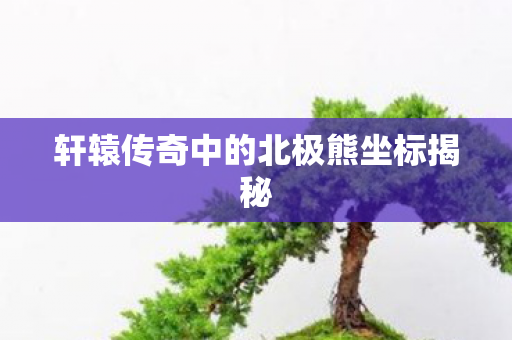 轩辕传奇中的北极熊坐标揭秘