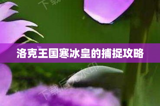 洛克王国寒冰皇的捕捉攻略图片