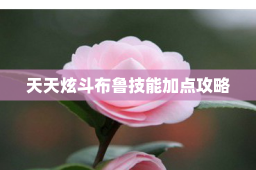 天天炫斗布鲁技能加点攻略图片