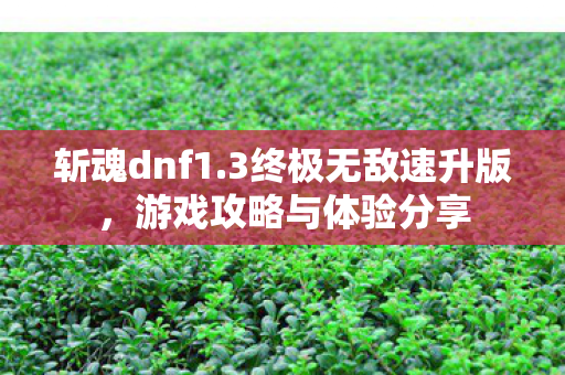 游戏攻略与体验分享图片