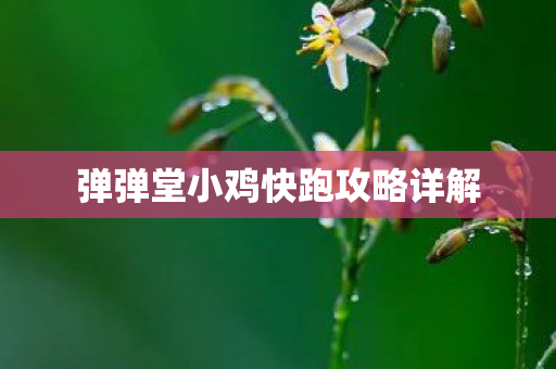 弹弹堂小鸡快跑攻略详解图片