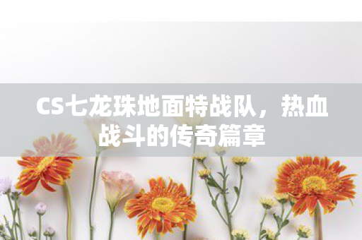 CS七龙珠地面特战队图片