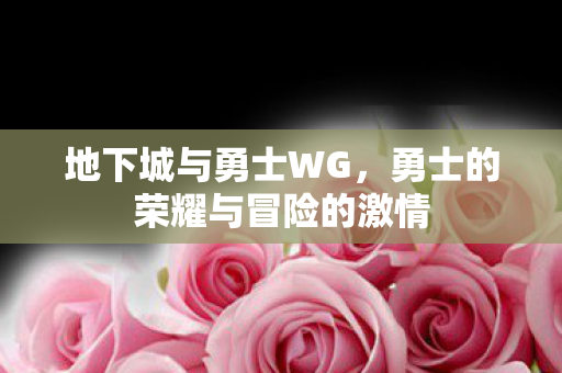 勇士的荣耀与冒险的激情图片
