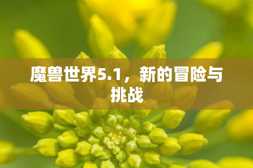 新的冒险与挑战图片