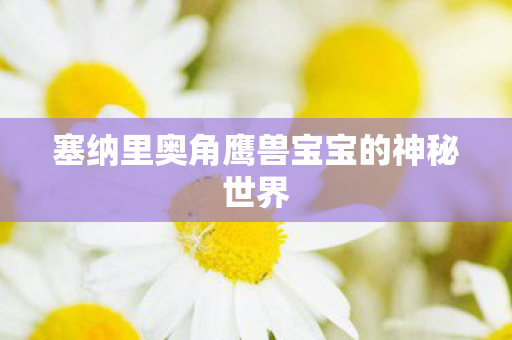 塞纳里奥角鹰兽宝宝的神秘世界图片