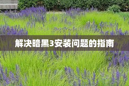 解决暗黑3安装问题的指南图片