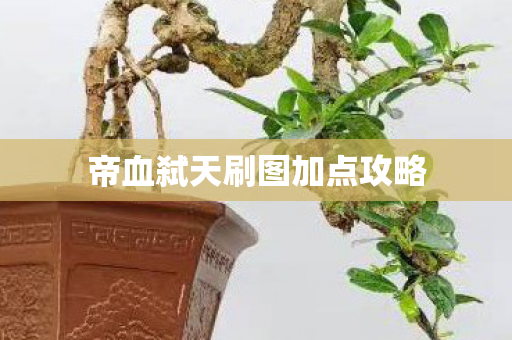 帝血弑天刷图加点攻略图片