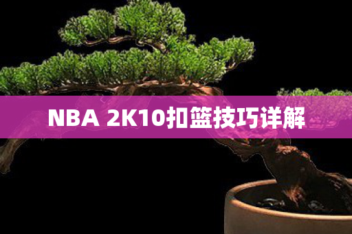 NBA 2K10扣篮技巧详解图片
